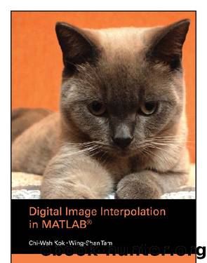 Digital Image Interpolation in Matlab by Kok Chi-Wah; Tam Wing-Shan;