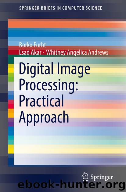 Digital Image Processing: Practical Approach by Borko Furht & Esad Akar & Whitney Angelica Andrews
