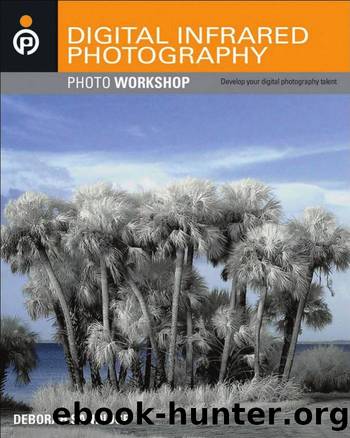Digital Infrared Photography Photo Workshop by Sandidge Deborah
