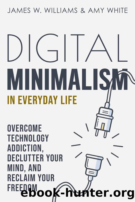 Digital Minimalism in Everyday Life by Williams James W. & White Amy