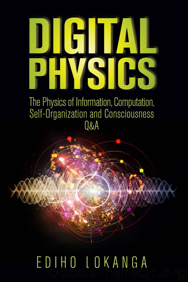 Digital Physics: The Physics of Information, Computation, Self-Organization and Consciousness Q&A by Lokanga Ediho