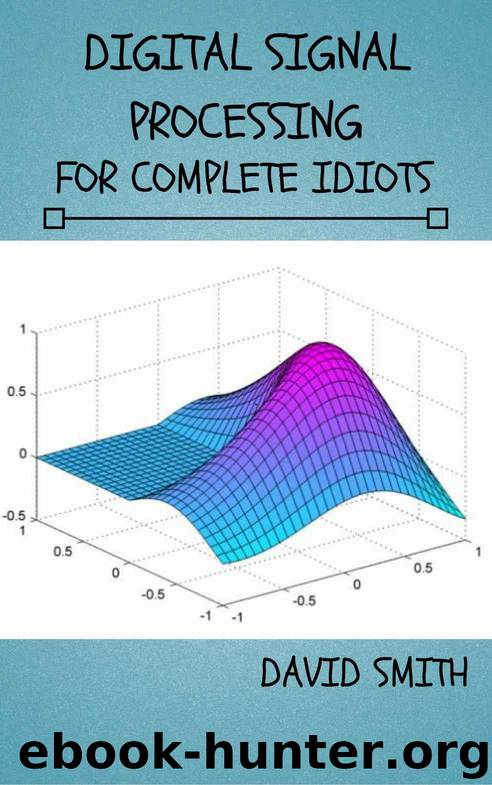 Digital Signal Processing for Complete Idiots (Electrical Engineering for Complete Idiots) by SMITH DAVID