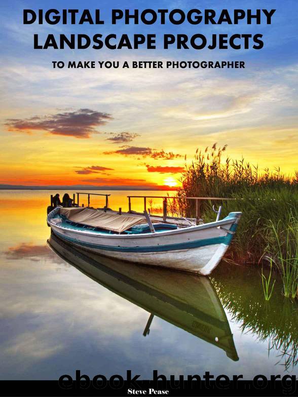 Digital photography landscape projects: To make you a better photographer by Pease Steve
