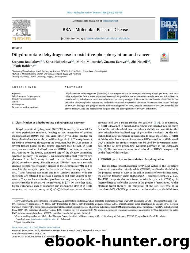 Dihydroorotate dehydrogenase in oxidative phosphorylation and cancer by Stepana Boukalova & Sona Hubackova & Mirko Milosevic & Zuzana Ezrova & Jiri Neuzil & Jakub Rohlena