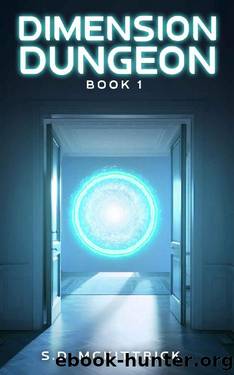Dimension Dungeon: Book One by S.D. McKittrick