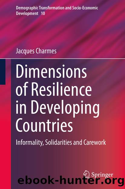 Dimensions of Resilience in Developing Countries by Jacques Charmes