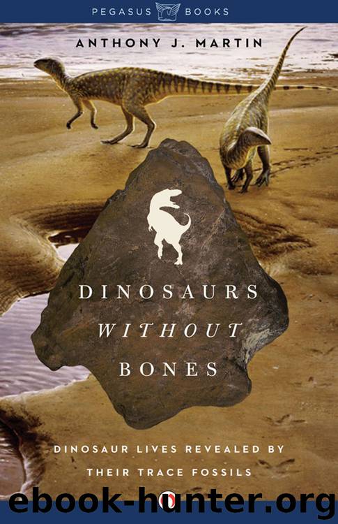 Dinosaurs Without Bones by Anthony J. Martin