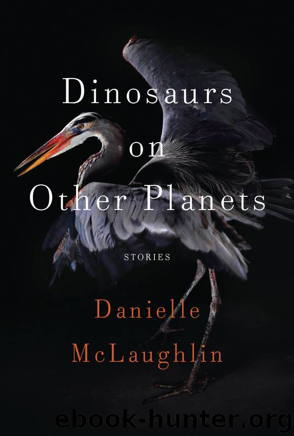 Dinosaurs on Other Planets by Danielle McLaughlin