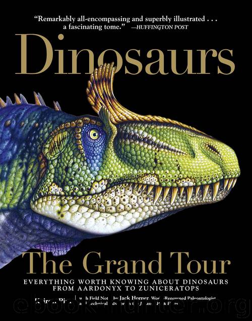 Dinosaurs—The Grand Tour by Keiron Pim