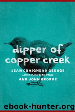 Dipper of Copper Creek (American Woodland Tales) by Jean Craighead George & John George
