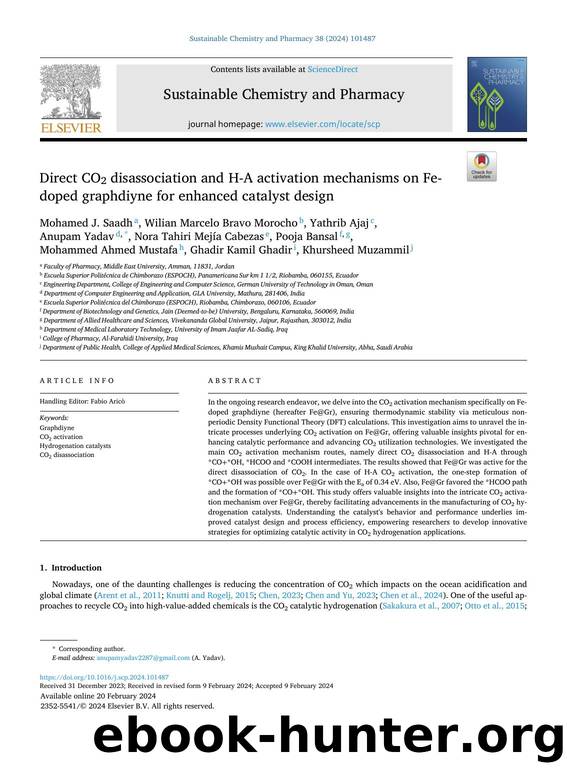 Direct CO2 disassociation and H-A activation mechanisms on Fe-doped graphdiyne for enhanced catalyst design by unknow