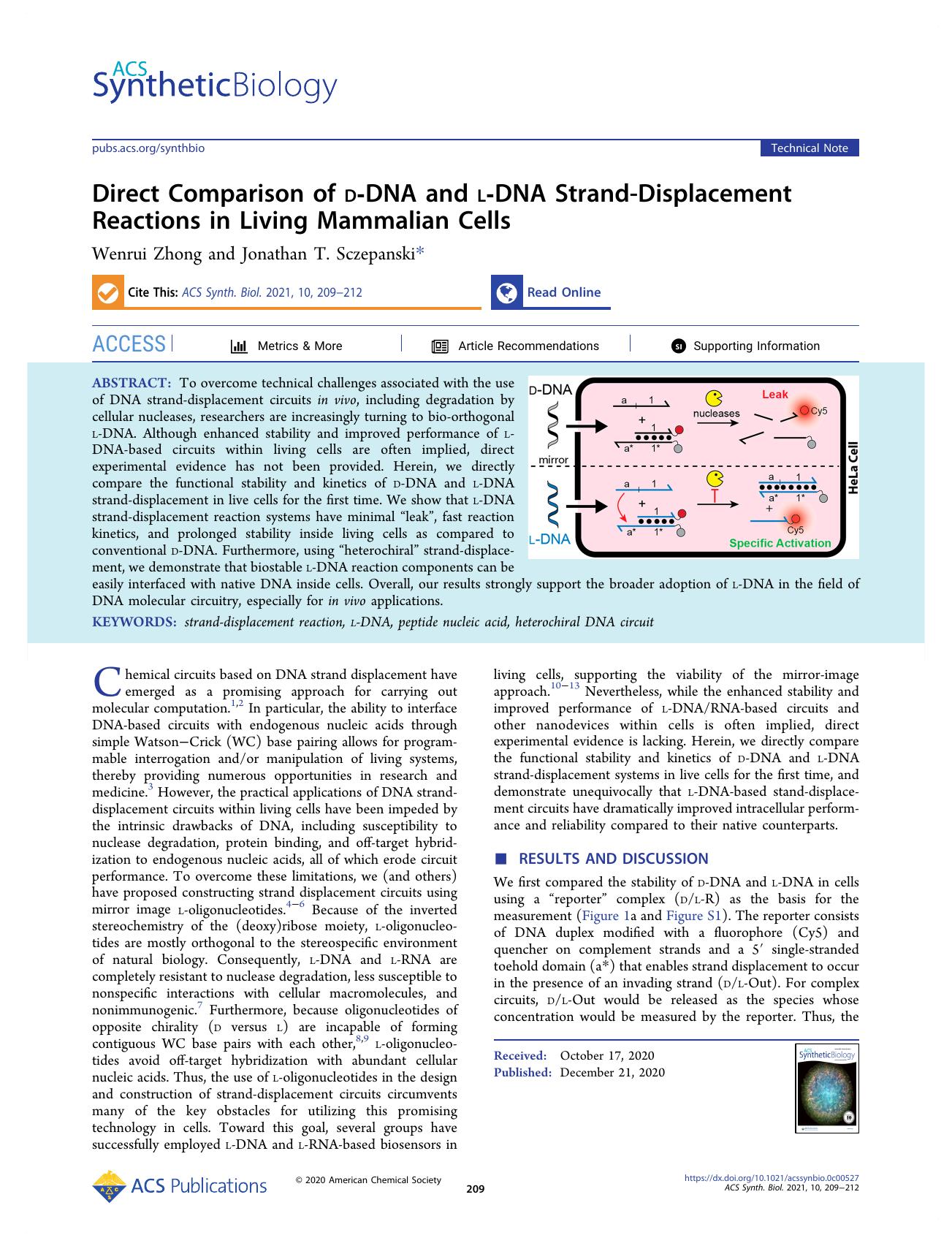 Direct Comparison of d-DNA and l-DNA Strand-Displacement Reactions in Living Mammalian Cells by Wenrui Zhong and Jonathan T. Sczepanski