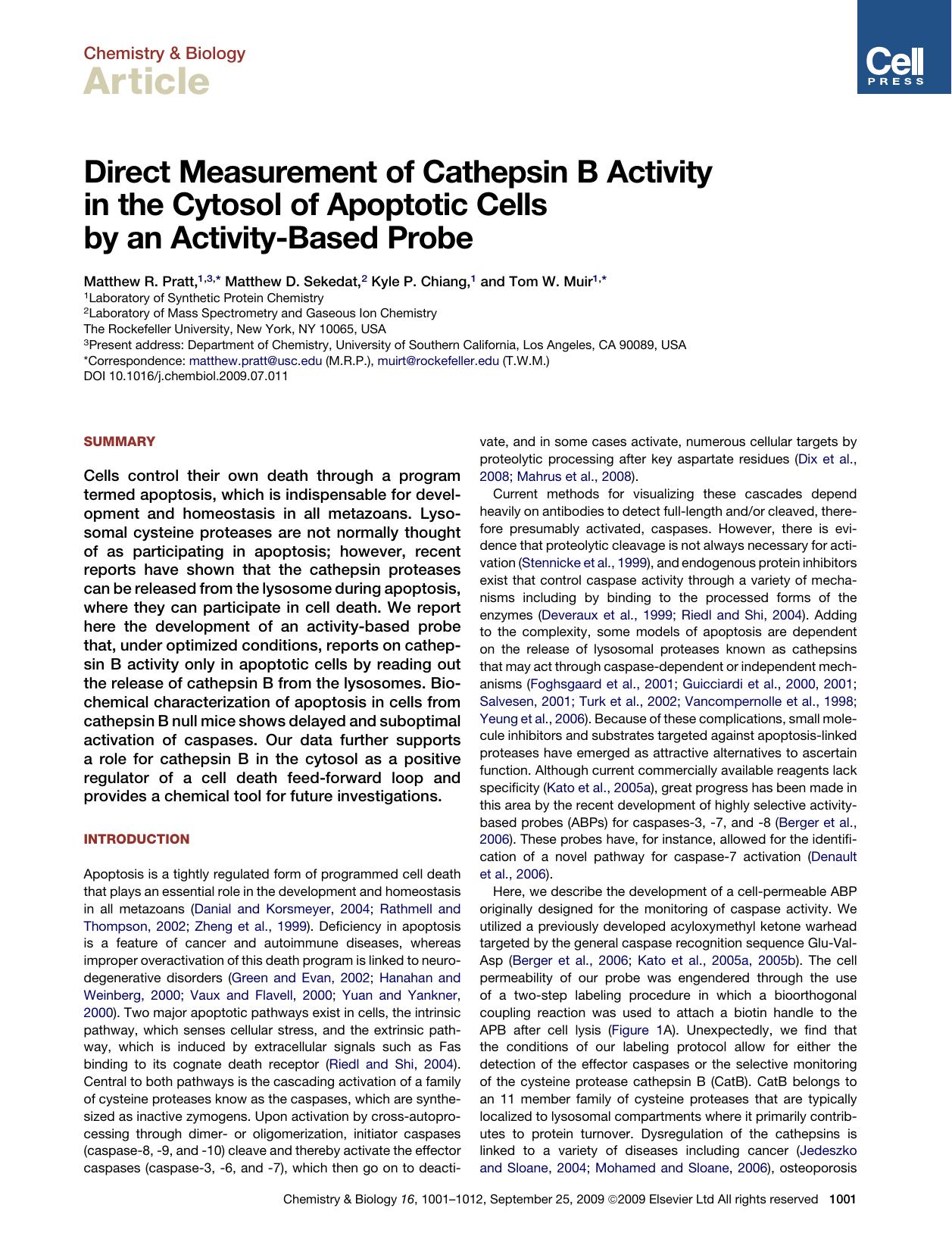 Direct Measurement of Cathepsin B Activity in the Cytosol of Apoptotic Cells by an Activity-Based Probe by Matthew R. Pratt; Matthew D. Sekedat; Kyle P. Chiang; Tom W. Muir