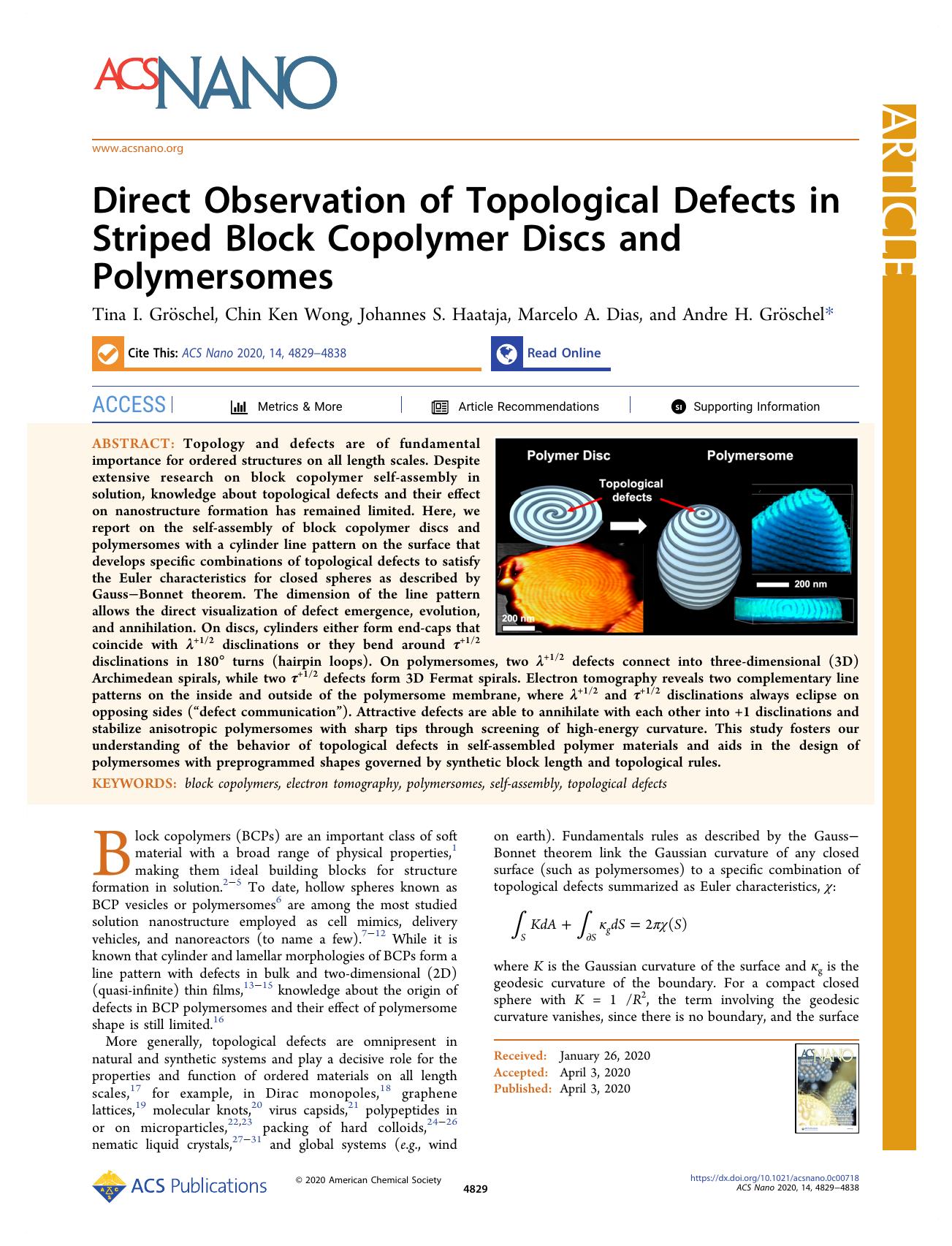 Direct Observation of Topological Defects in Striped Block Copolymer Discs and Polymersomes by Tina I. Gröschel Chin Ken Wong Johannes S. Haataja Marcelo A. Dias and Andre H. Gröschel