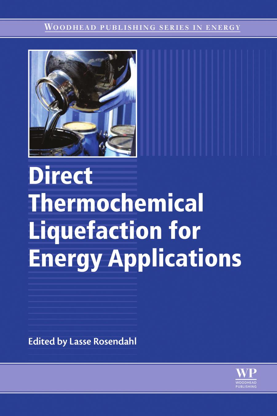 Direct Thermochemical Liquefaction for Energy Applications by Lasse Rosendahl