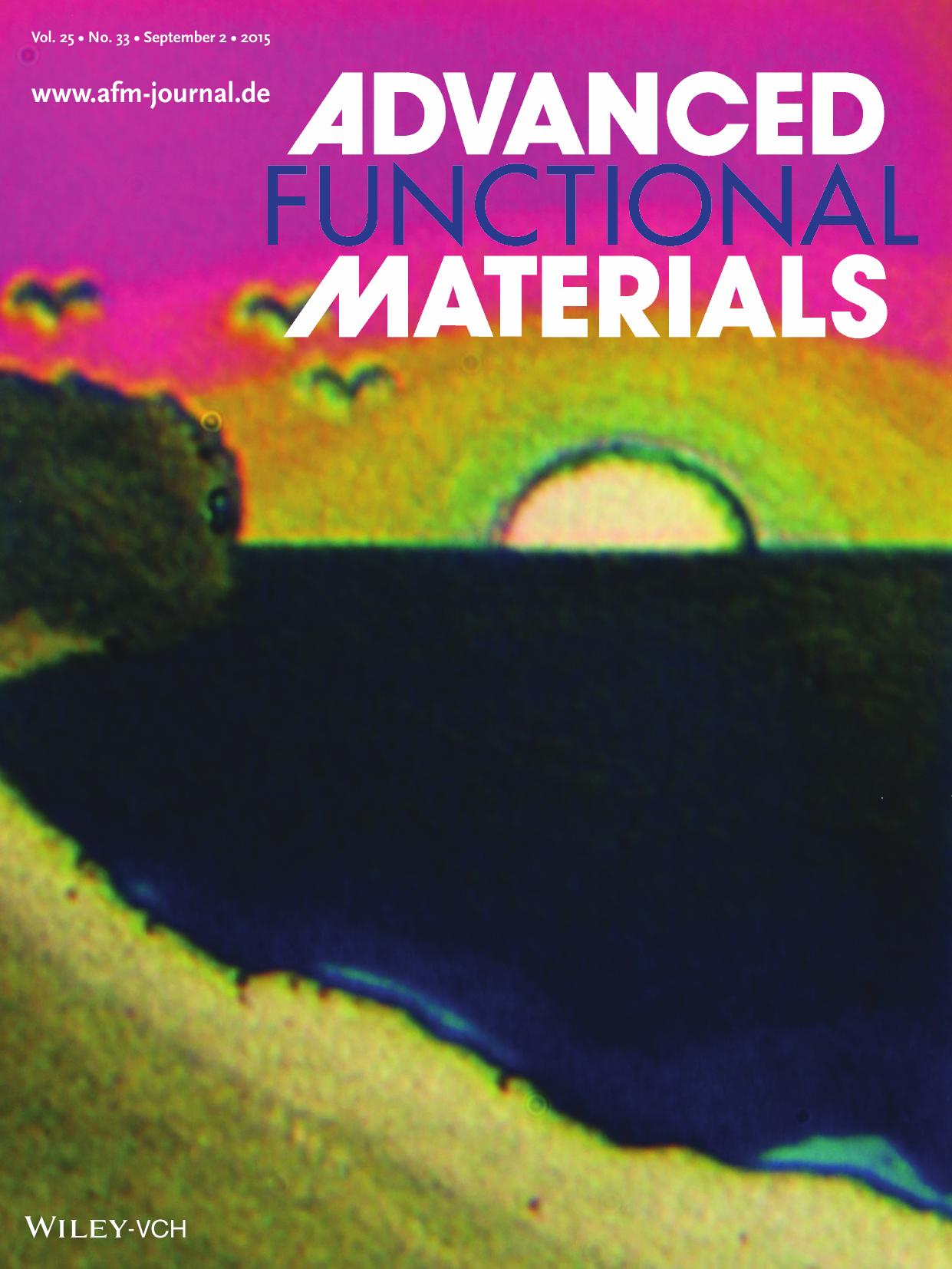 Direct Writing: Painting and Direct Writing of Silver Nanostructures on Phosphate Glass with Electron Beam Irradiation (Adv. Funct. Mater. 33/2015) by Unknown
