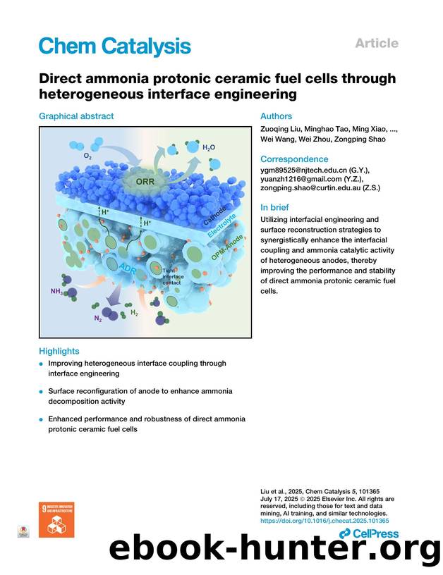 Direct ammonia protonic ceramic fuel cells through heterogeneous interface engineering by unknow
