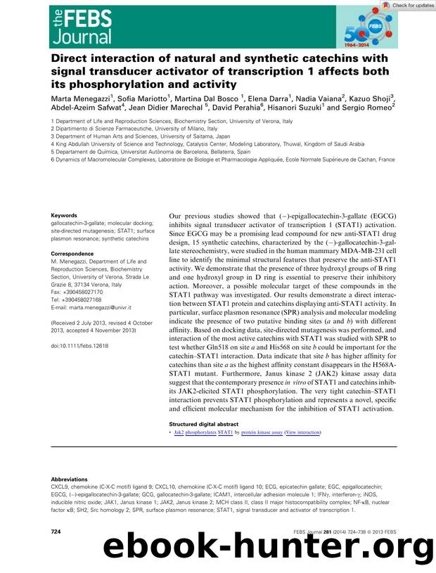 Direct interaction of natural and synthetic catechins with signal transducer activator of transcription 1 affects both its phosphorylation and activity by Unknown
