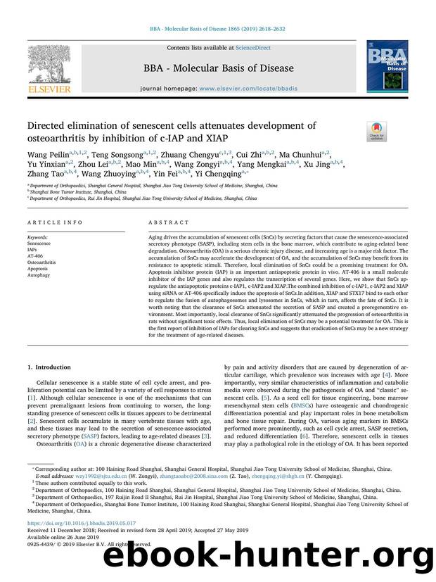 Directed elimination of senescent cells attenuates development of osteoarthritis by inhibition of c-IAP and XIAP by unknow