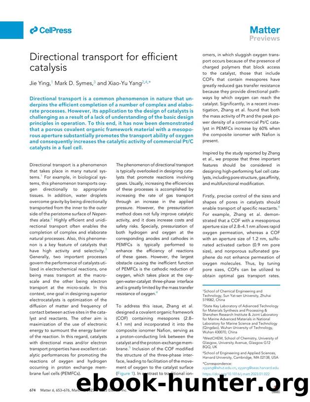 Directional transport for efficient catalysis by Jie Ying & Mark D. Symes & Xiao-Yu Yang
