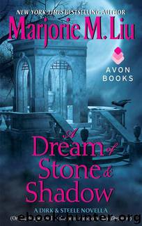 Dirk & Steele 04 - A Dream of Stone and Shadow by Marjorie M. Liu