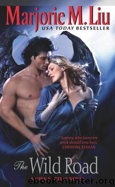 Dirk & Steele 08 - The Wild Road by Marjorie M. Liu