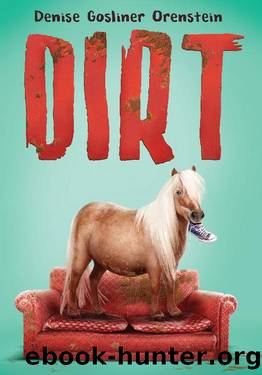 Dirt by Denise Gosliner Orenstein