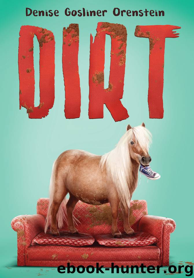 Dirt by Denise Orenstein