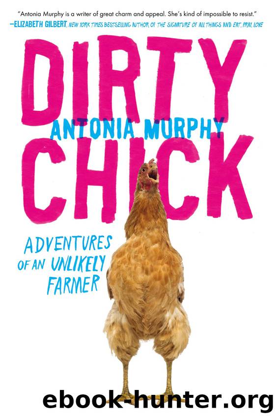 Dirty Chick by Antonia Murphy