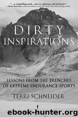 Dirty Inspirations by Terri Schneider