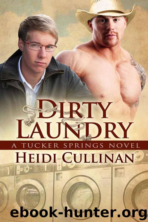 Dirty Laundry (A Tucker Springs Novel) by Cullinan Heidi