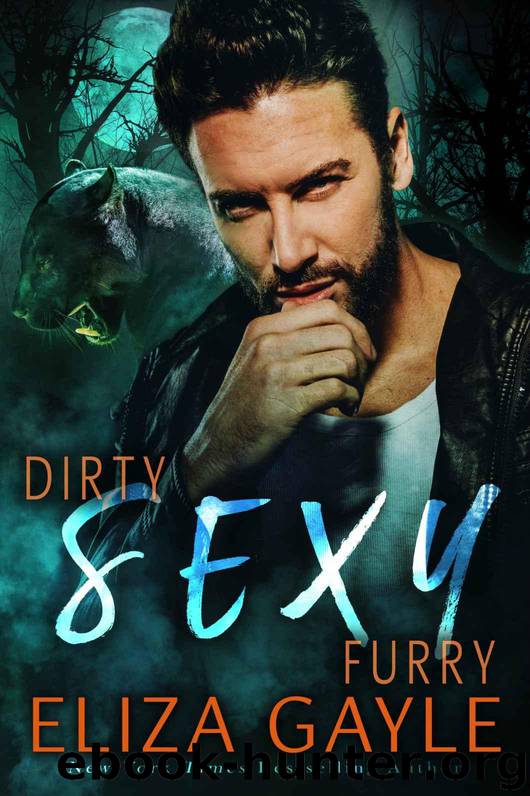 Dirty Sexy Furry (Southern Shifters Book 1) by Gayle Eliza