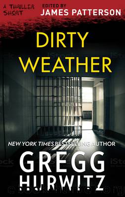 Dirty Weather by Greg Hurwitz