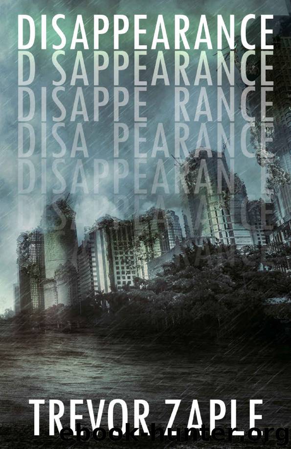Disappearance by Trevor Zaple