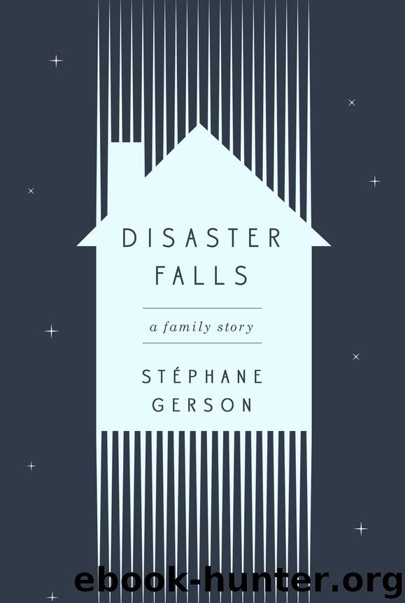 Disaster Falls by Stephane Gerson