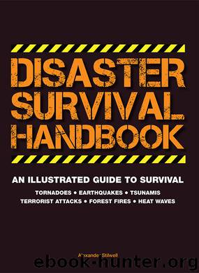 Disaster Survival Handbook by Alexander Stilwell