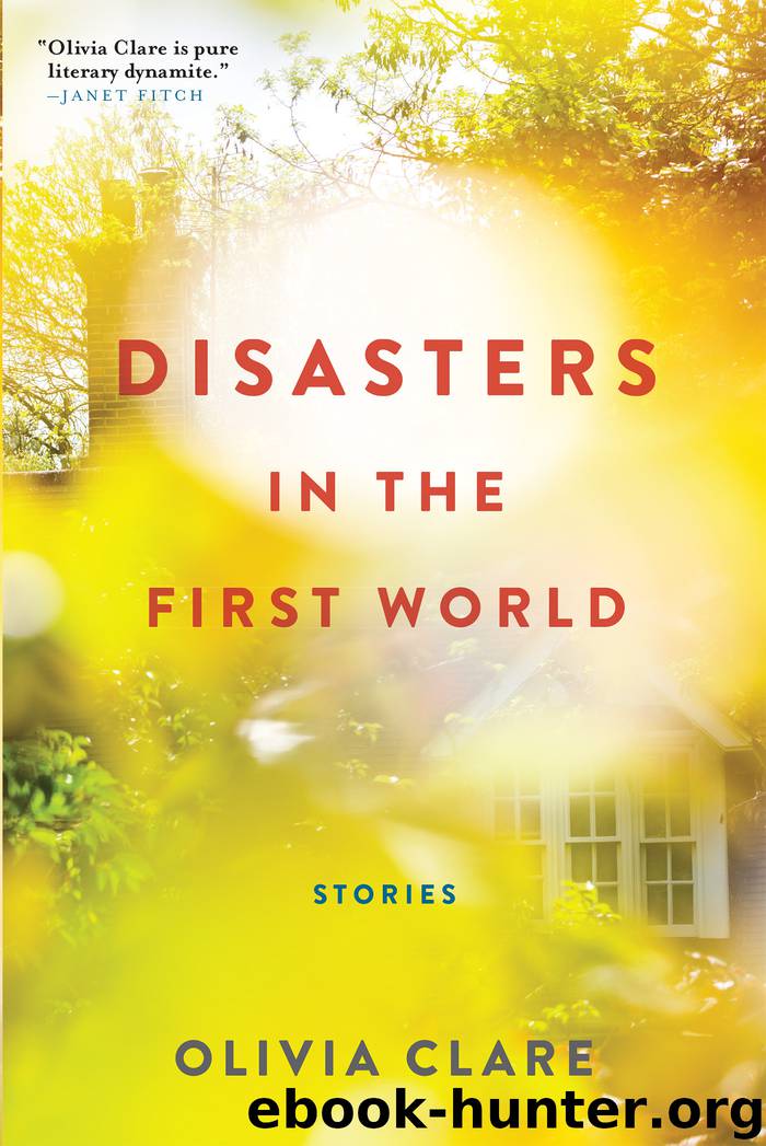 Disasters in the First World by Olivia Clare