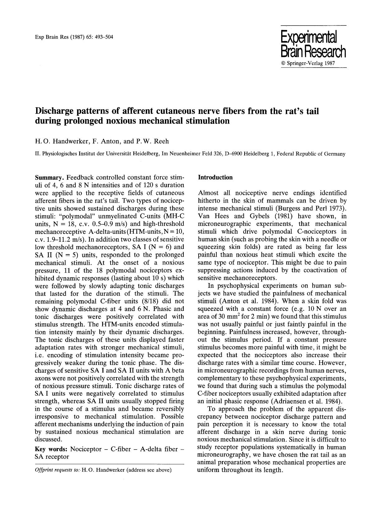 Discharge patterns of afferent cutaneous nerve fibers from the rat's tail during prolonged noxious mechanical stimulation by Unknown