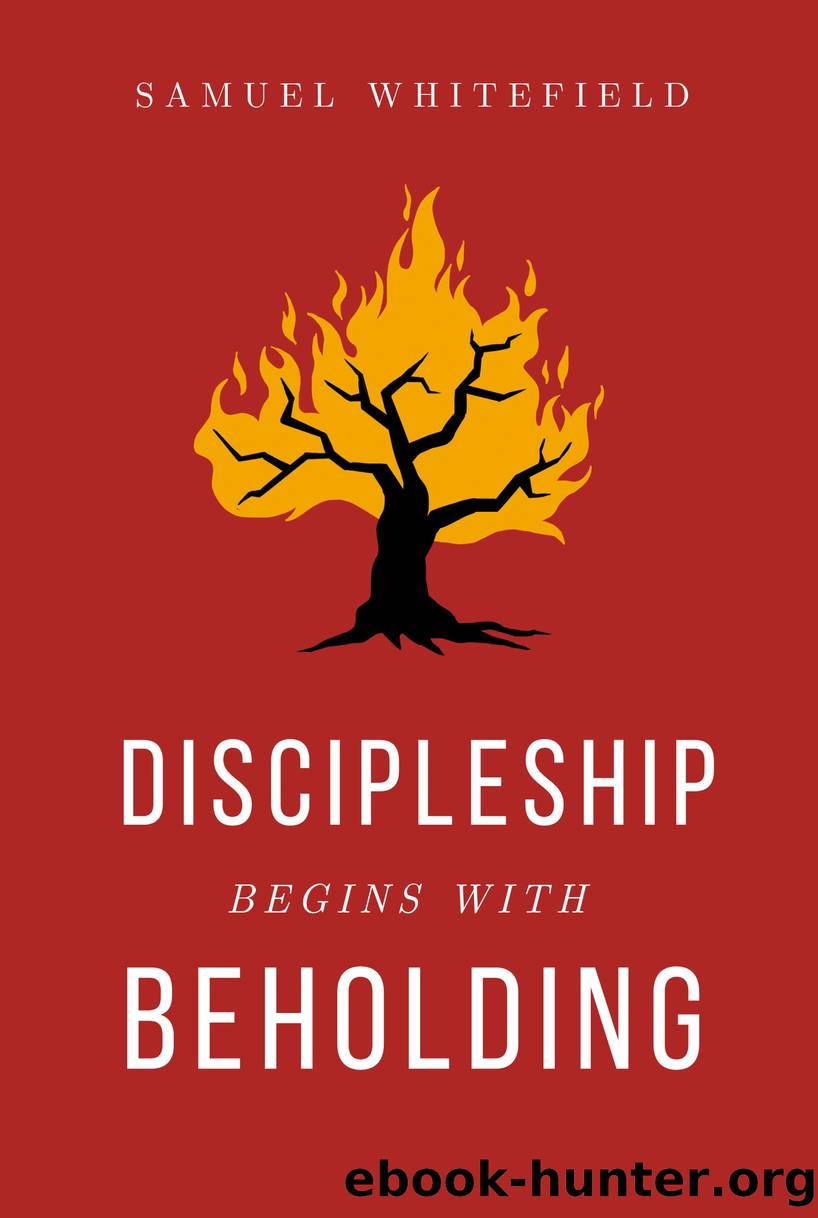 Discipleship Begins with Beholding by Samuel Whitefield