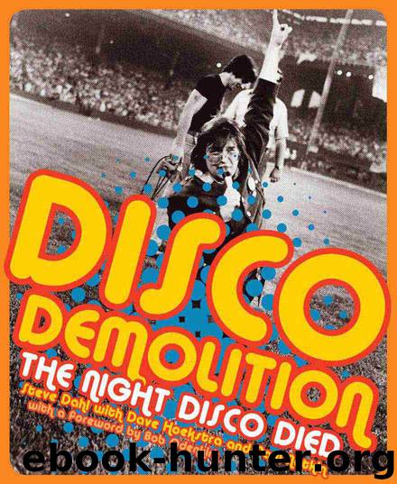 Disco Demolition by Steve Dahl