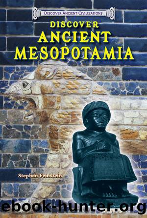 Discover Ancient Mesopotamia by Stephen Feinstein