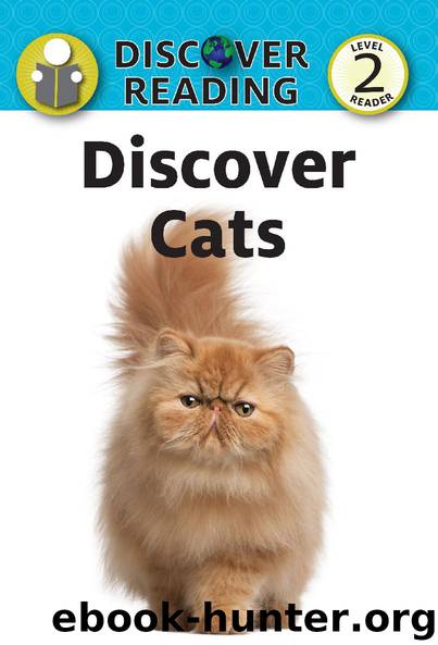 Discover Cats by Katrina Streza