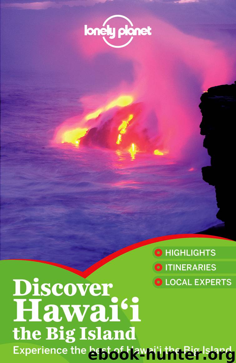 Discover Hawaii the Big Island by Lonely Planet