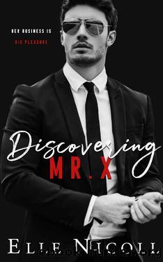 Discovering Mr X (The Men Series Book 2) by Elle Nicoll