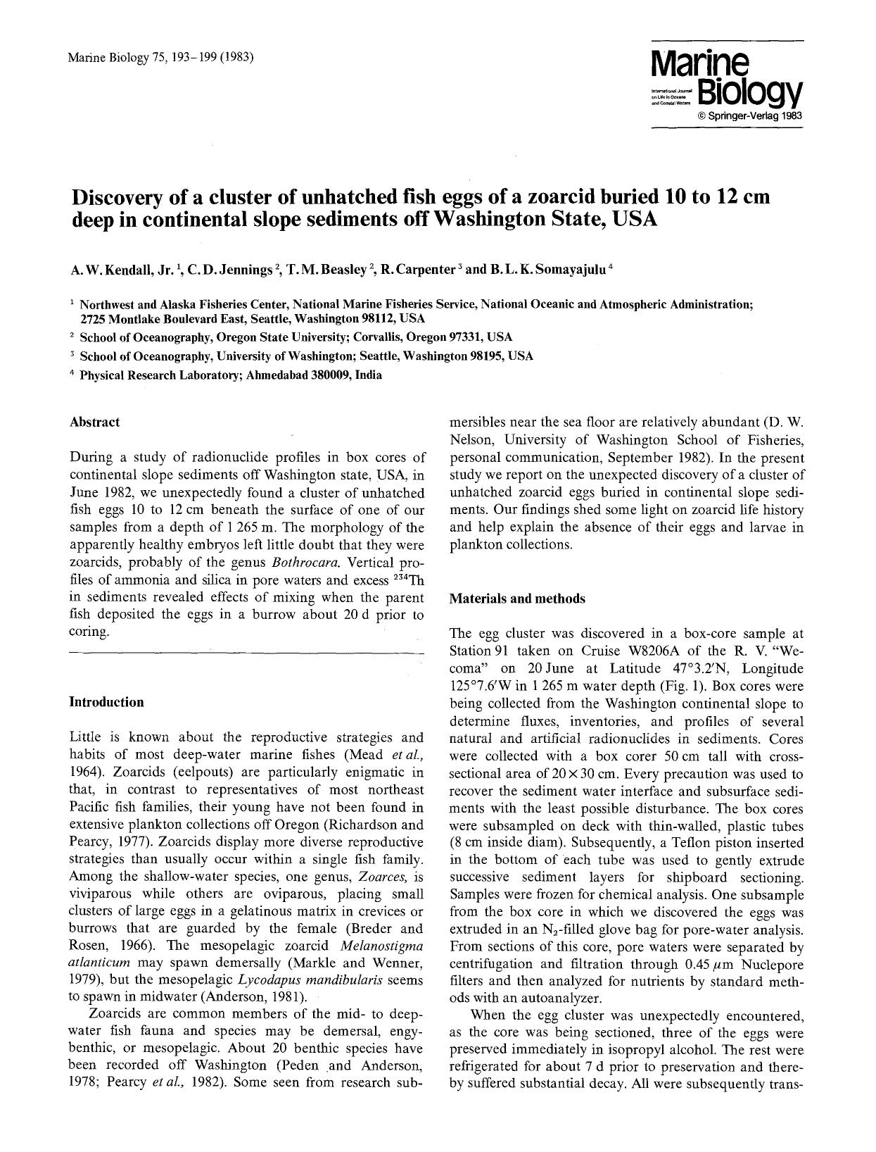 Discovery of a cluster of unhatched fish eggs of a zoarcid buried 10 to 12 cm deep in continental slope sediments off Washington State, USA by Unknown