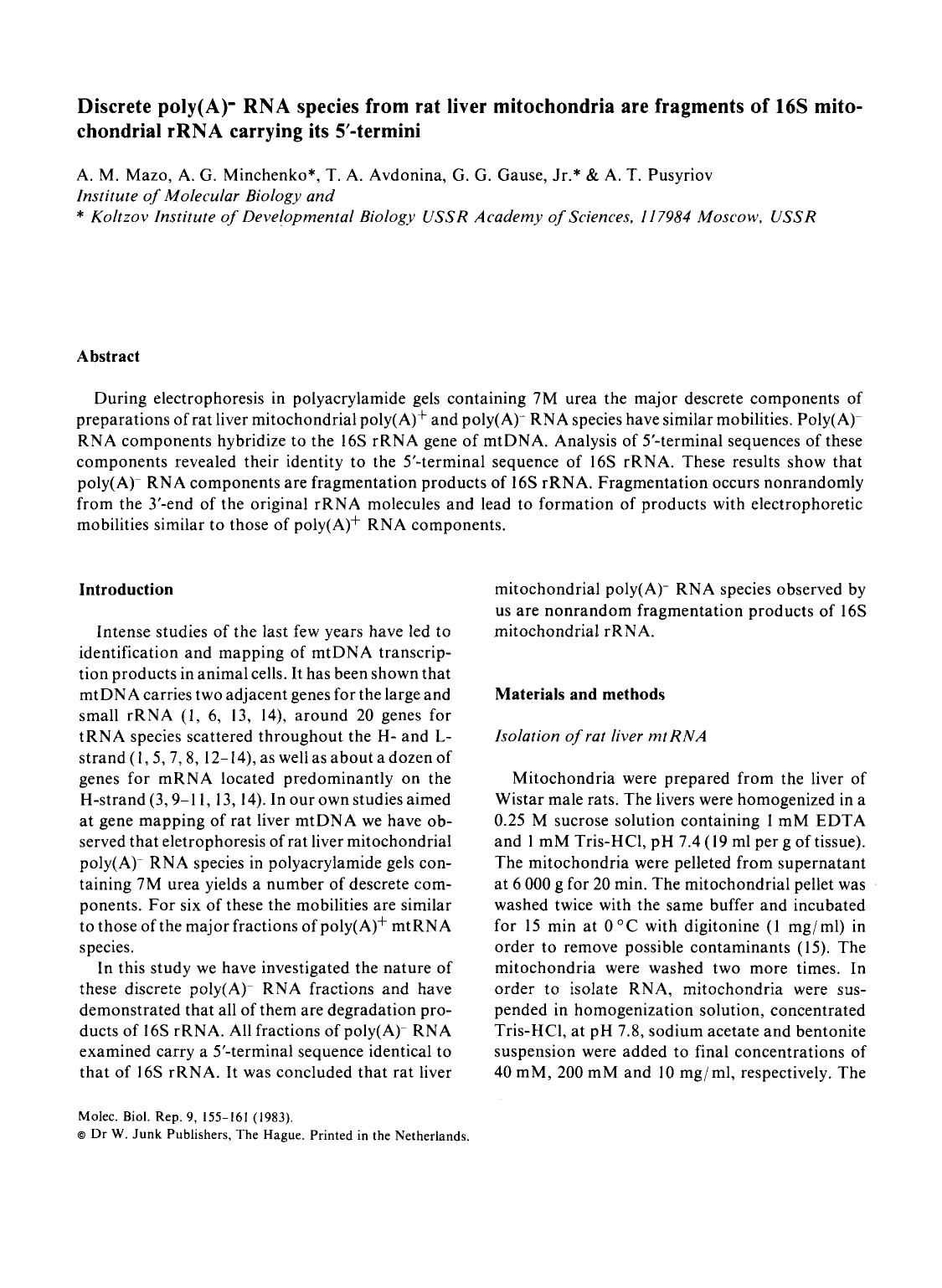 Discrete poly(A)-RNA species from rat liver mitochondria are fragments of 16S mitochondrial rRNA carrying its 5′-termini by Unknown