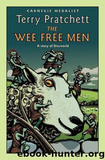 Discworld 30 The Wee Free Men by Terry Pratchett