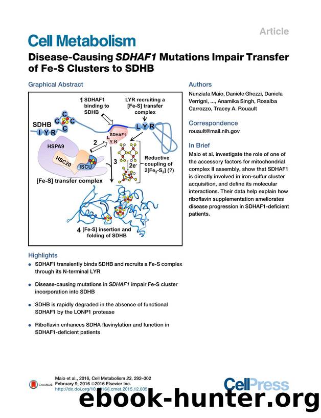 Disease-Causing SDHAF1 Mutations Impair Transfer of Fe-S Clusters to SDHB by unknow