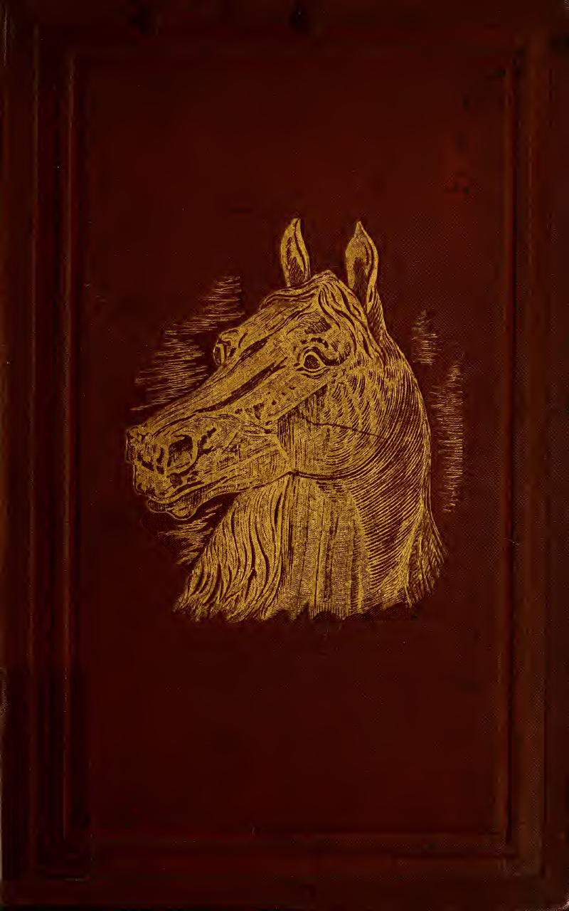 Diseases & disorders of the horse : a treatise on equine medicine and surgery : being a contribution to the science of comparative pathology by Gresswell Albert; Gresswell James Brodie; Gresswell George