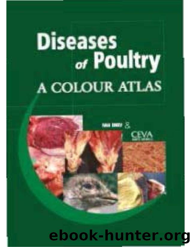 Diseases of Poultry, A Colour Atlas by Unknown